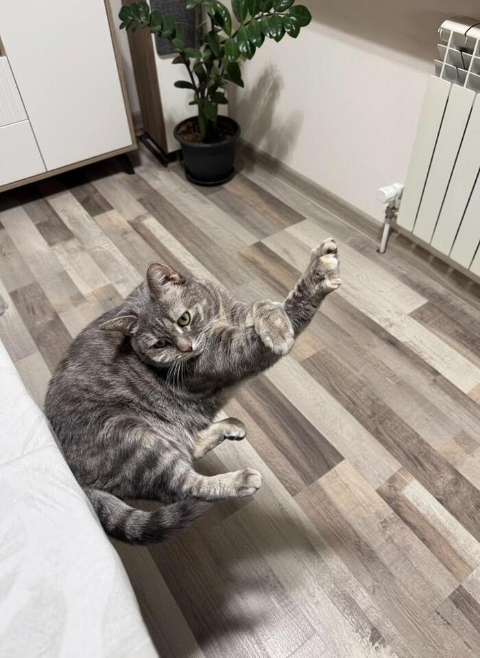 ���� ���� ���� 😬