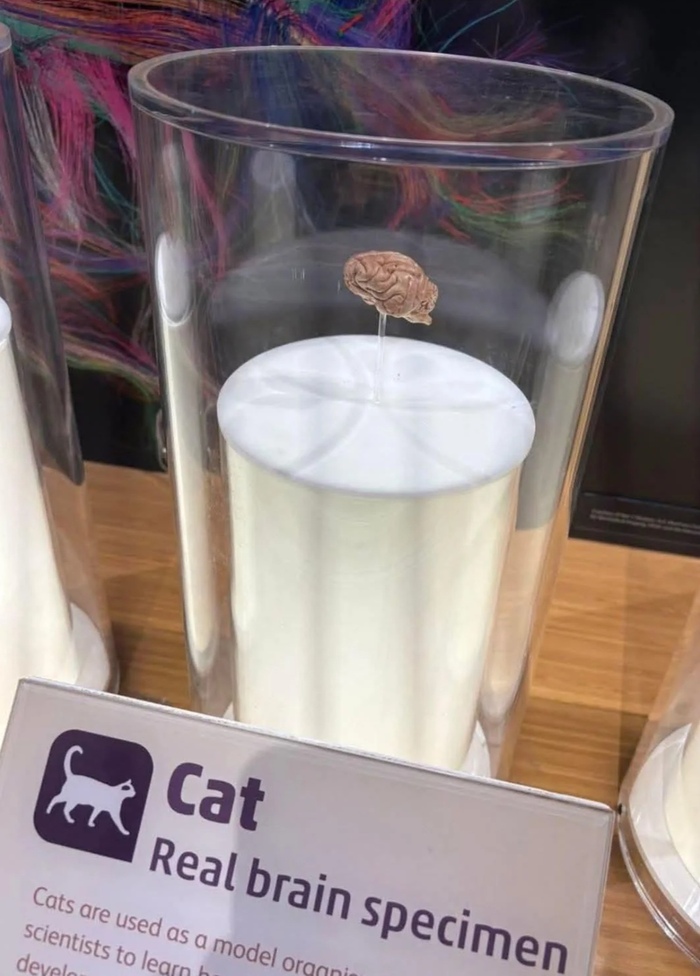 ��� �������������: ��� �������, � �� ��������� ����