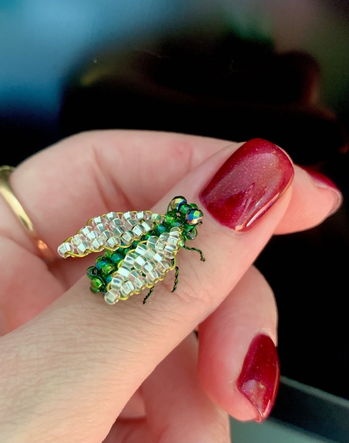 ������ ���� �� ����� ���������, ��� ��� ����� ������?