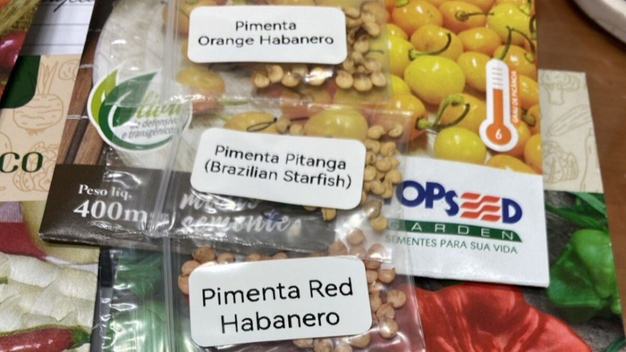 ����������� ��������-������