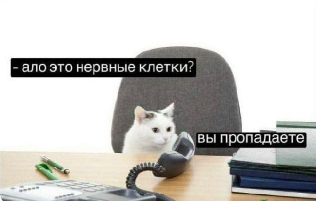 Когда вернулся на работу после праздников