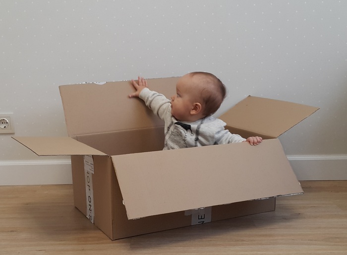 "�����", �������� ��������� �� �� �������� ������� ����