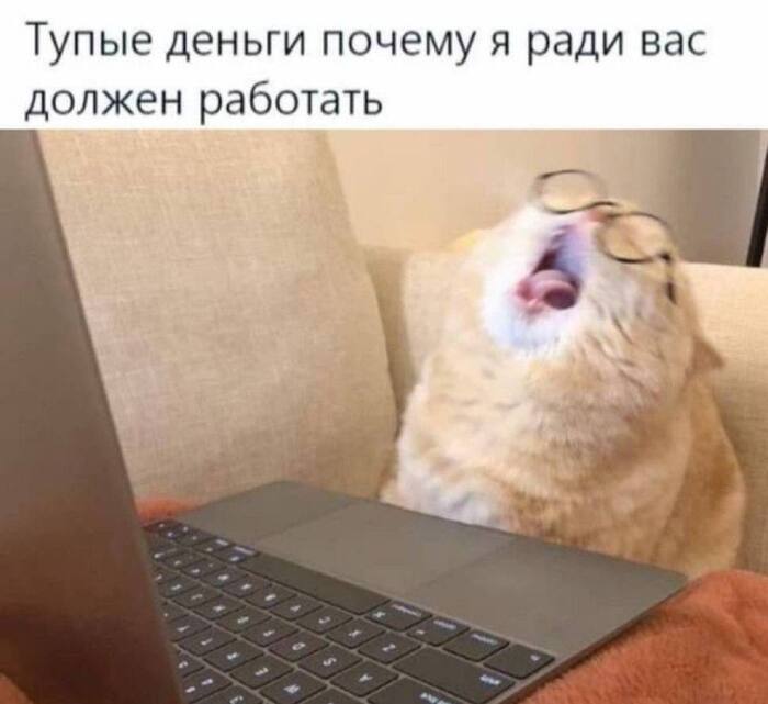 �� ��� 12 ������!