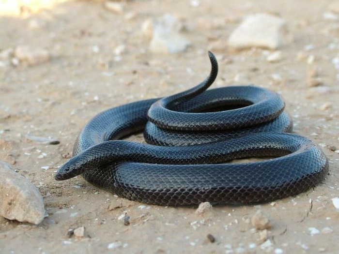 ��������� ������