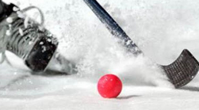 Московское «Динамо» стало обладателем Суперкубка по хоккею с мячом