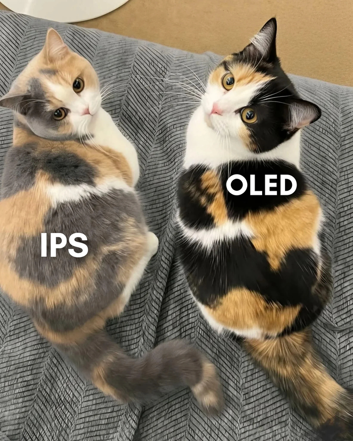 ������� ������ ��������� IPS � OLED ��������