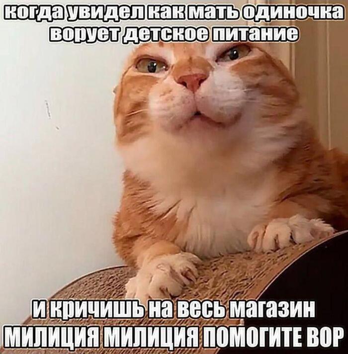 Утренний мем