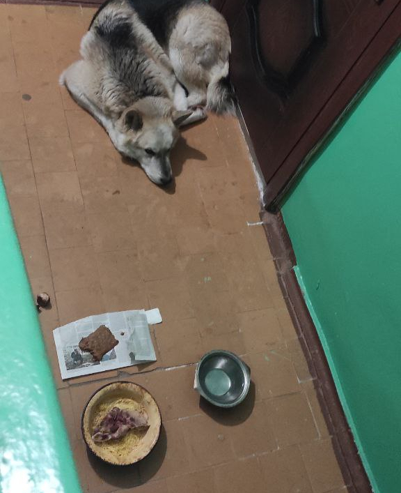 ���-�� ��������� ����������� ����� � �������� ���������������� ����.