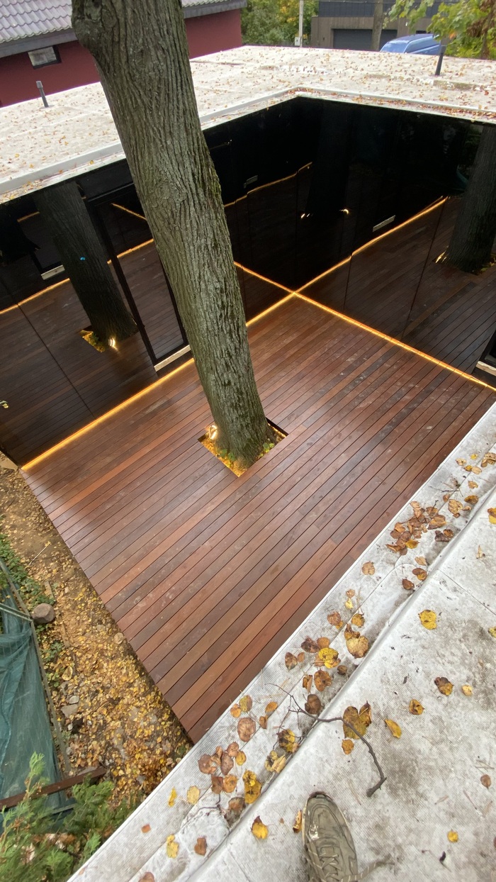 ������� ���� ������