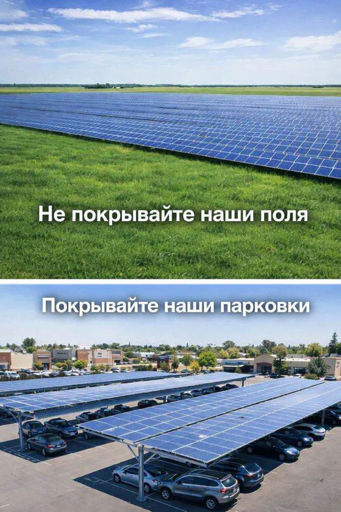 ����� ����