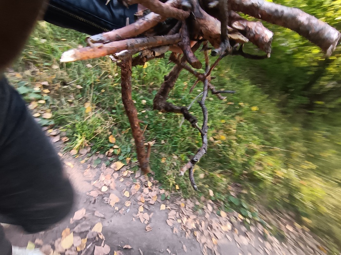 �� �, ����������, ������������ ������� ������ �� ���� � ������ ������� �������� �������� ����� ��� �������� �����, ���� �������� �� ������, ��� ��� � ����� ��������