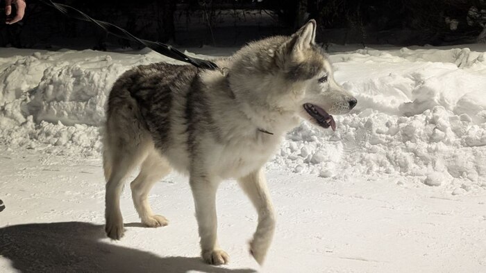 �������� ��������.