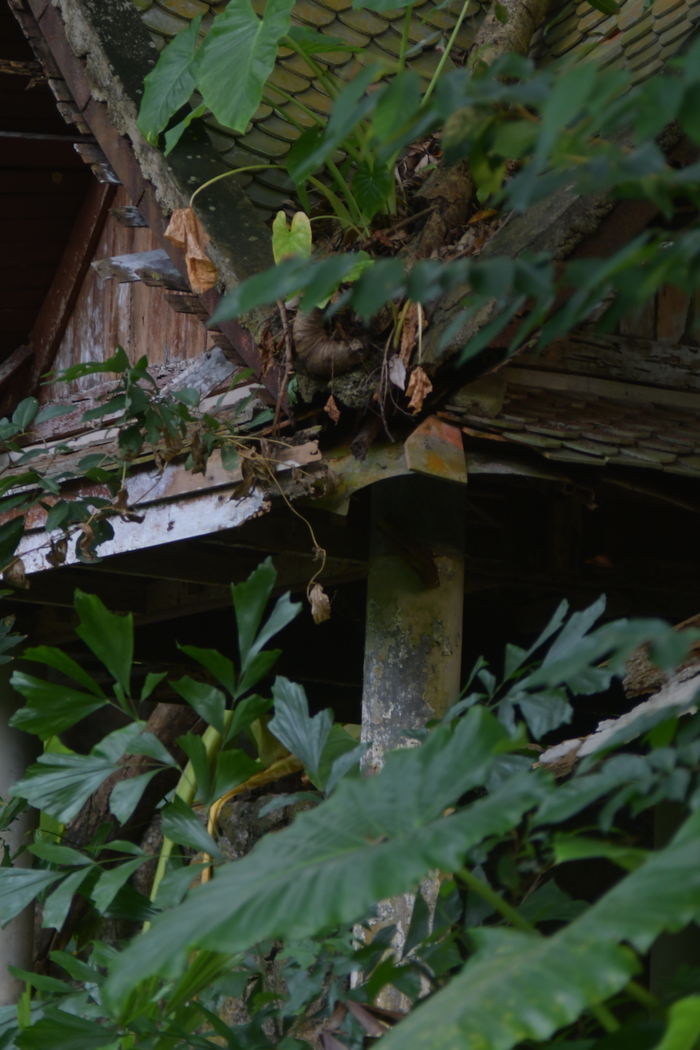 �������������� �������. 