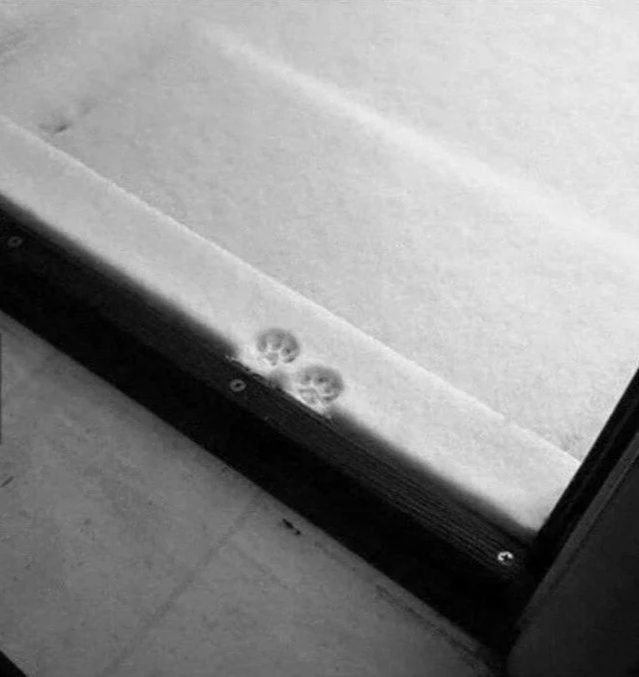 �������, � ���� �������