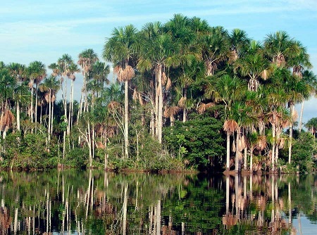 �������������� ������