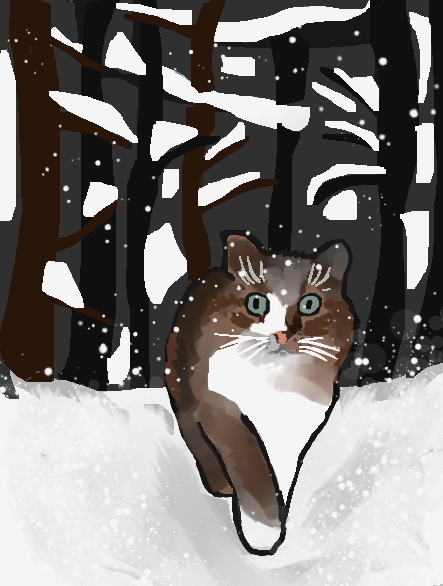 ��� �����