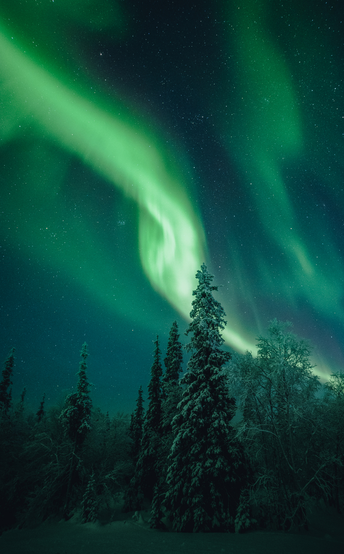 ����� �������� ��� 🌲� ����, ������� ����� ������� 🌌��� ������, ��� ����, ������ ���� ✨ � ����� ❄️ � ������� ���������� �������� 🤍