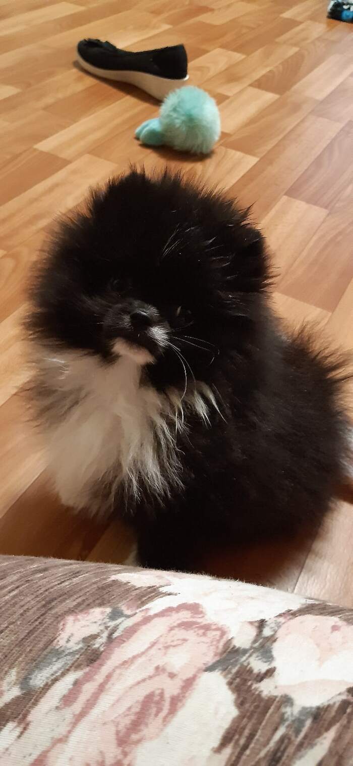 ������ ����������� ����, ������ �� �������� ������� �������� ����. � ������� ��� 6 ��� �����.