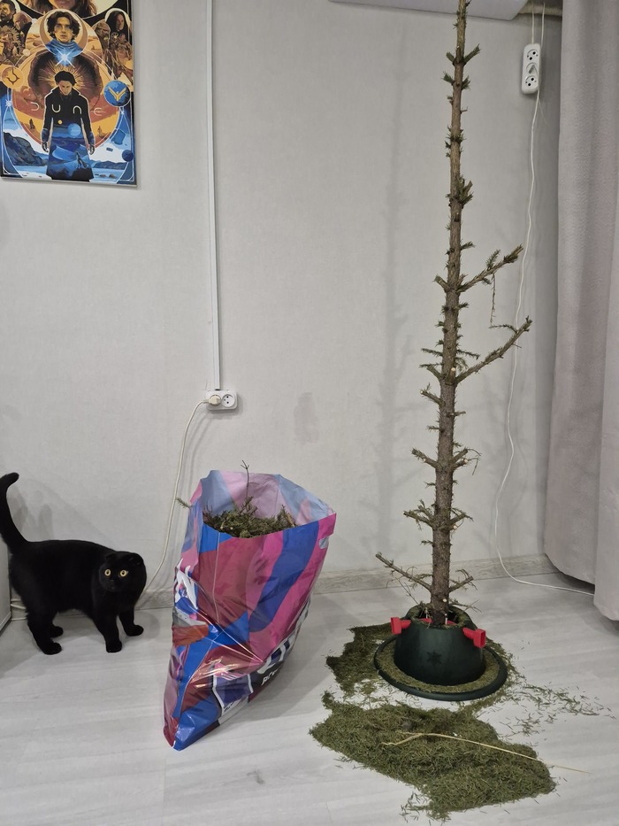 Нравится елочка