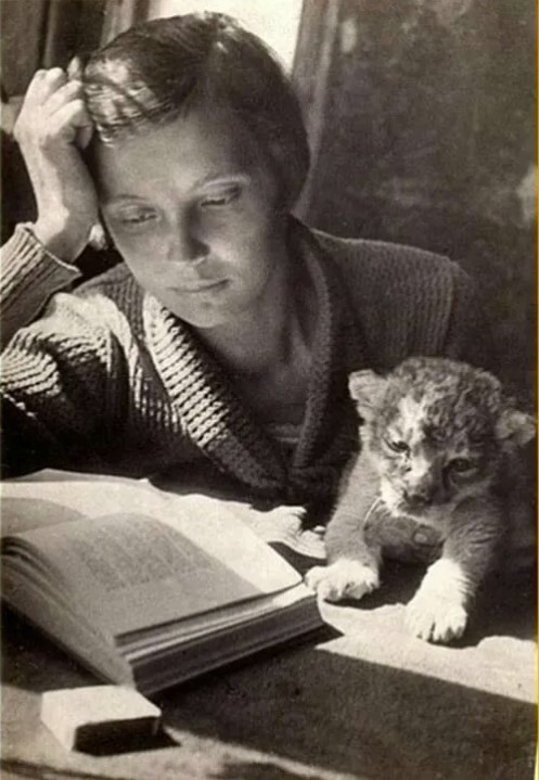 ���� �������