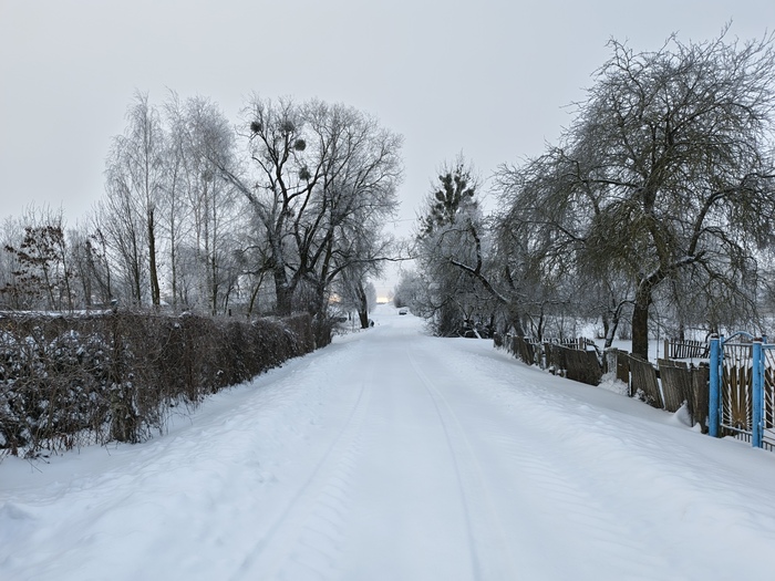 ������ �������