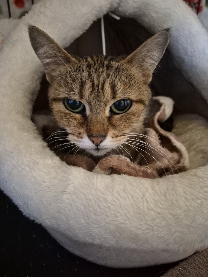 ������: ���������� ������� 🥰