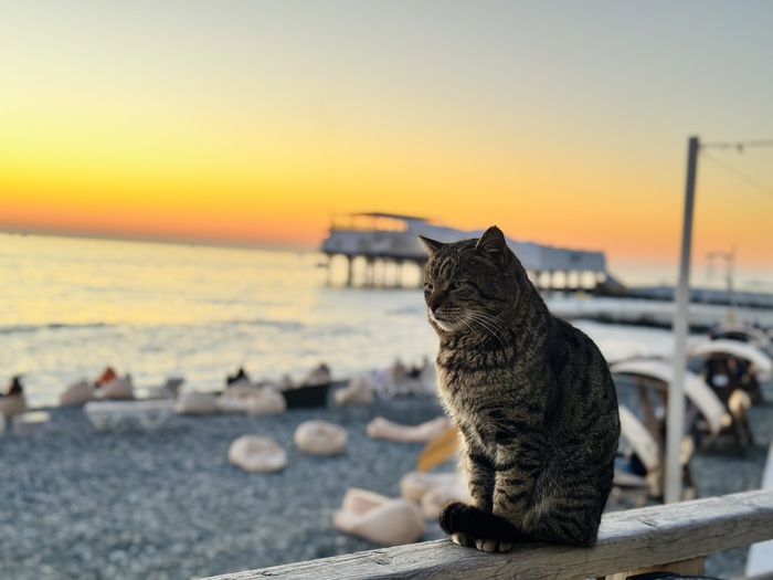 ������ 2025 ���� 