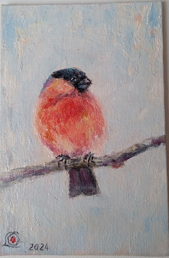 �������. ���� ������� ��� ������. ����� �� �������, ������ 15�10 ��.