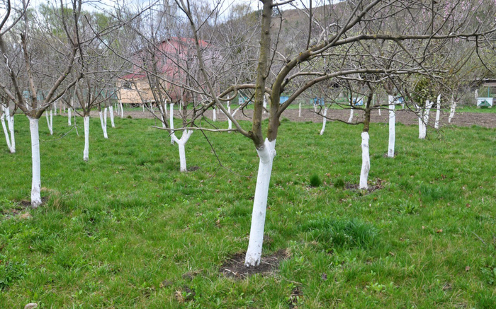 Получается как-то так