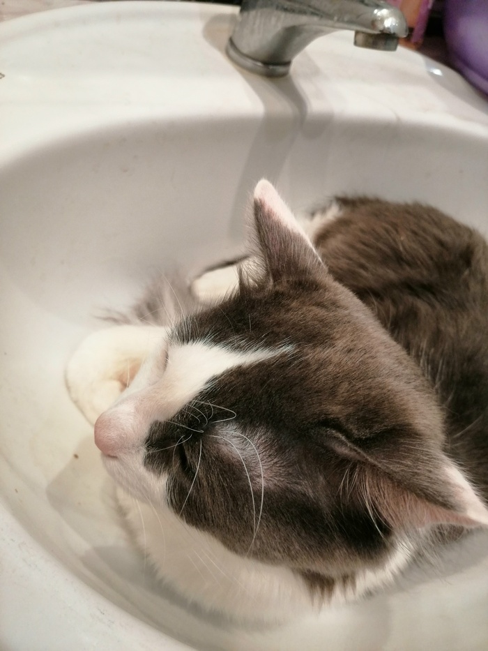 � � �������� �� ����� �������)