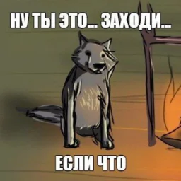 Grigfoxs1