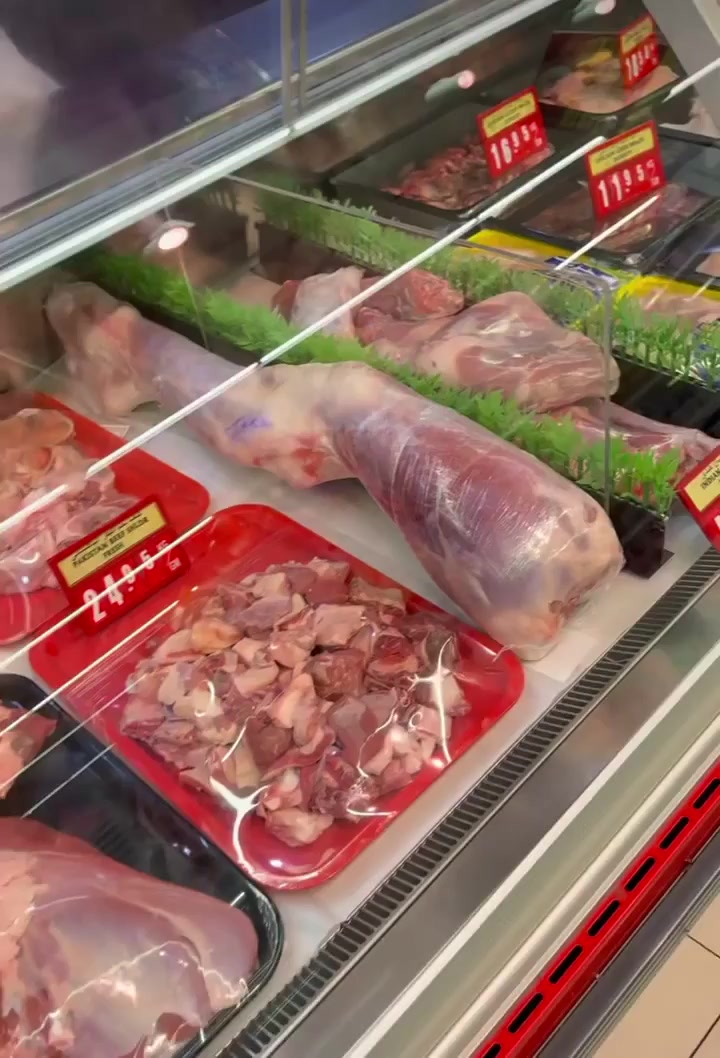 �� cp lolita vladmodels      