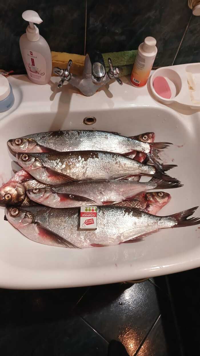 ����� �� ����� ������ � ����������. ������ �� 300 ��/��, ���������� ������ �� 150. 