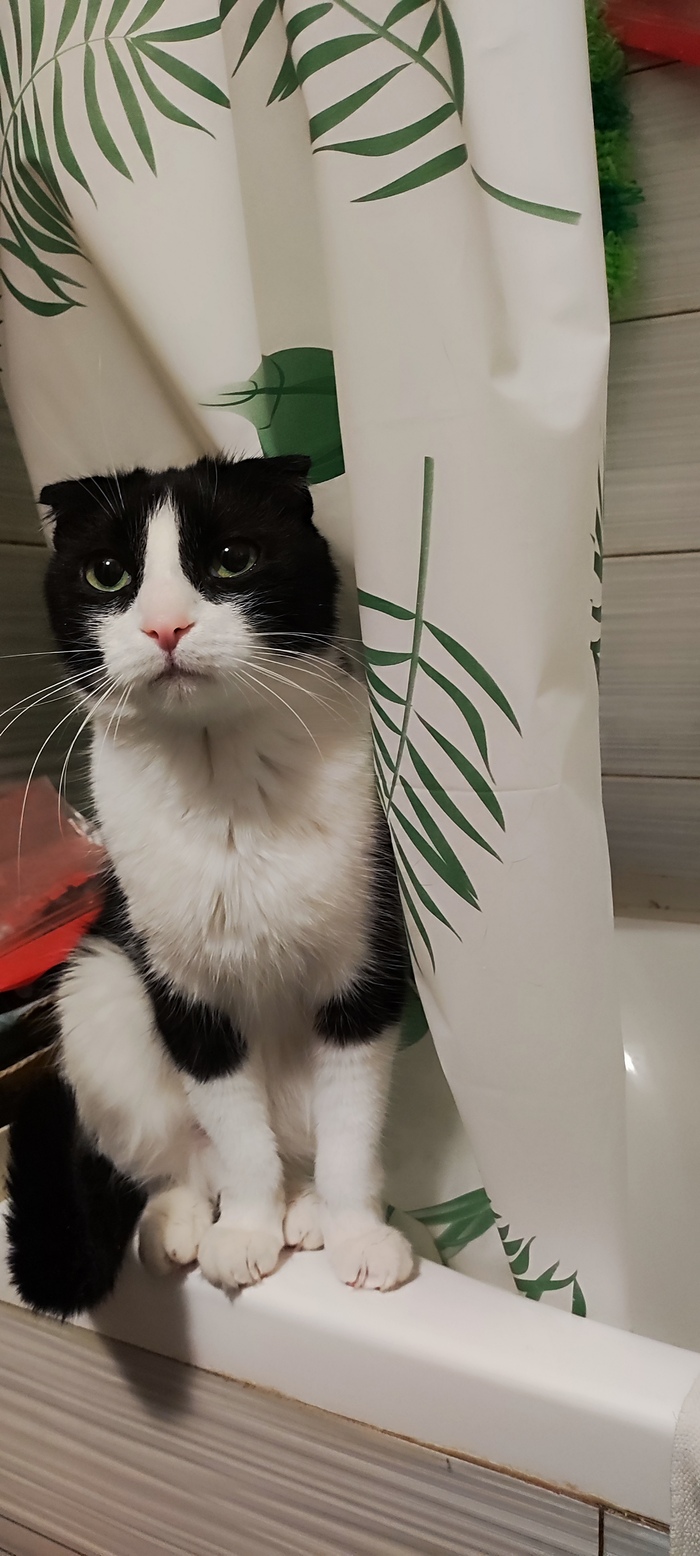 Не бодрое утро 12 января 2026