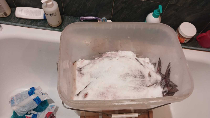 �� 8 �� ���� ���� 3 �� ����. ����� �� ����, ������� ��� �����. ������ ������ ��� ������ 24 ��. ����� ���� ����� �������� � �������� ����. ���� ���� ��� 10 �� ��� �����.