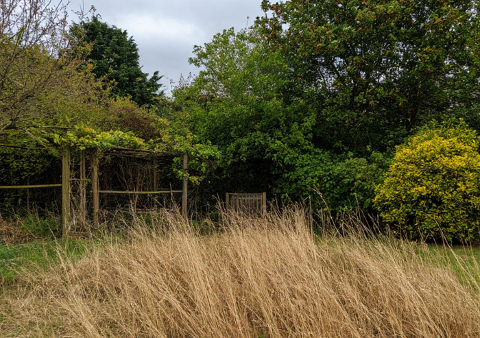 ����� � ������ ����