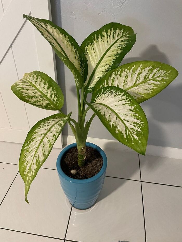 ��������-�������: ������ ���������, ������� ������� ��� �� ��������. ���������� �� ���������