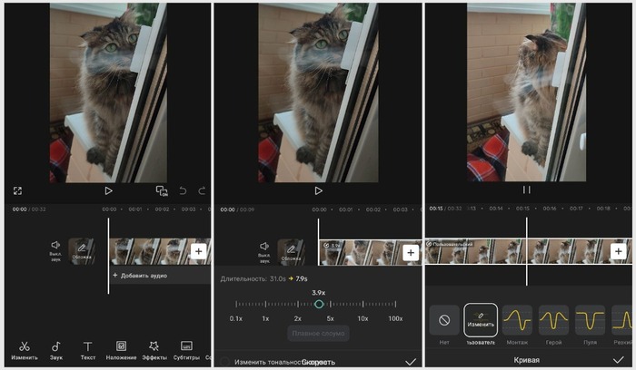 ��� �������� �����: ������� � ����������� �������