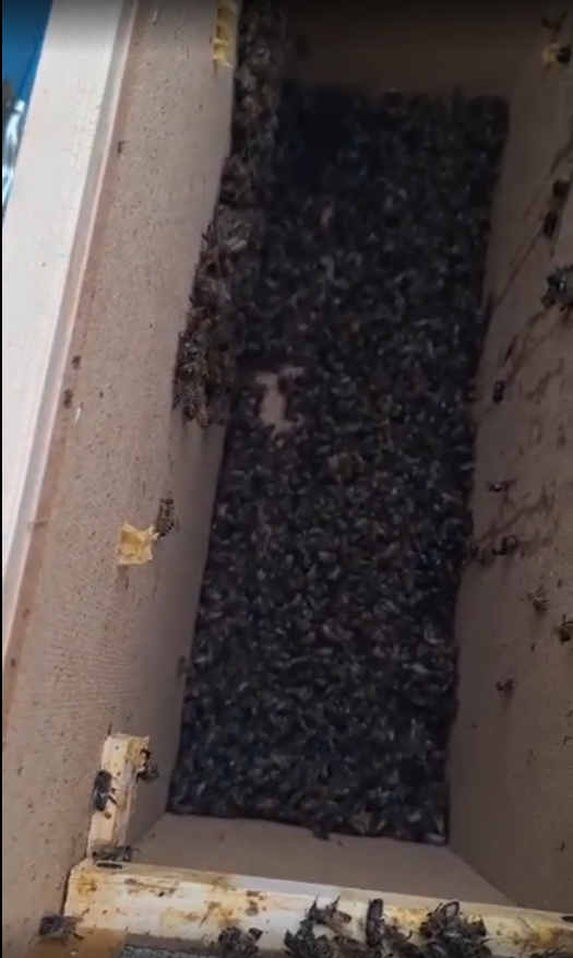 ������ ����� � �����