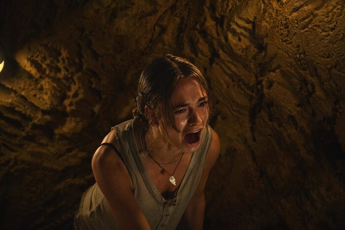 ���� �� ������ "������"