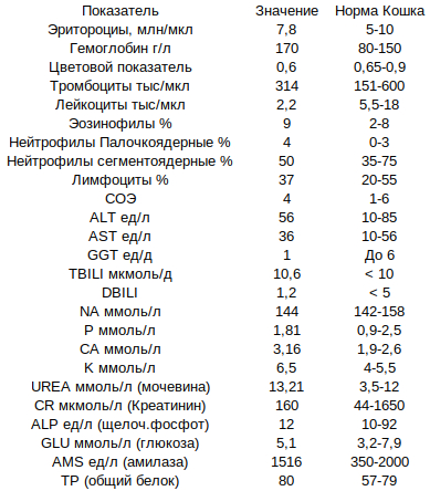 �������� ������������ ������� ����� ������