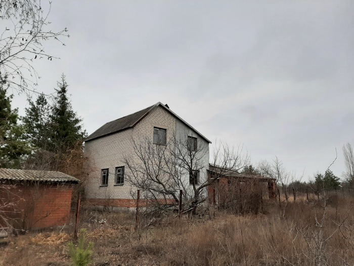 ���������������� � �������������� - ��� ��� � ���� �� ����