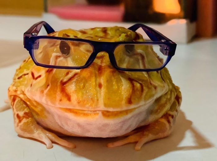 Скрытые пассивки для обучения, о которых не пишут в пабликах «Успешный успех»