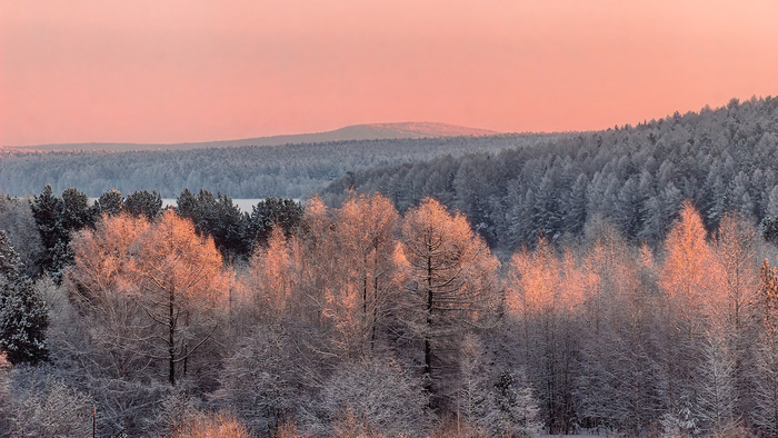 �������� �������