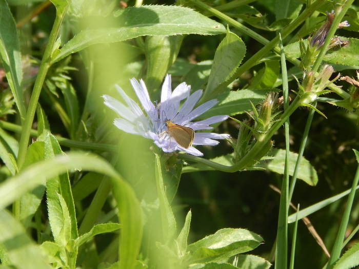 ������������� ���� �������� �������� �������. ��������� �������������