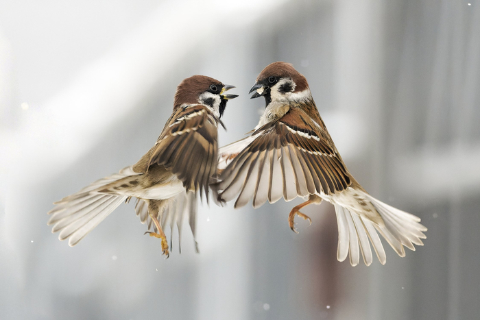 ����: ����� �������� <a href="https://pikabu.ru/story/zabiyaki_13591108?u=https%3A%2F%2Frtraveler.ru%2Fphoto%2F1480390%2F%3Feditorial_photos%3D1&t=%D0%BE%D1%82%D1%81%D1%8E%D0%B4%D0%B0&h=5edbae7d8de4f7faa38d6bdfe40b4ad98b2a6a66" title="https://rtraveler.ru/photo/1480390/?editorial_photos=1" target="_blank" rel="nofollow noopener">������</a>