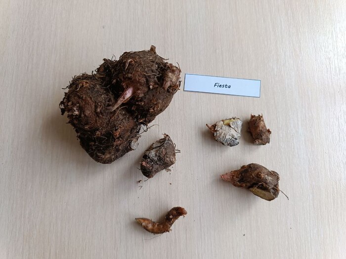 � �������� �� ���� ���� ������� ������ ��� ��������.