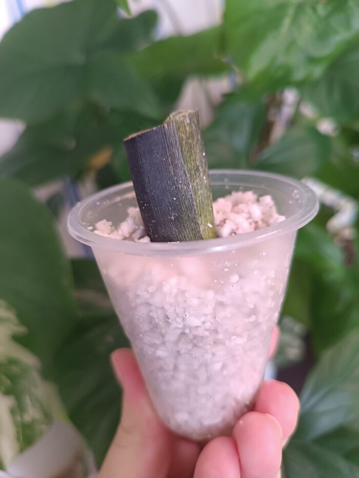 ���� ��������� � �������� �� ����, �������� ������