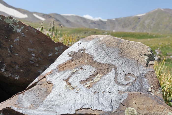 ����������� �������� ����� (������) �� ��������-���, ���� - ���� ������