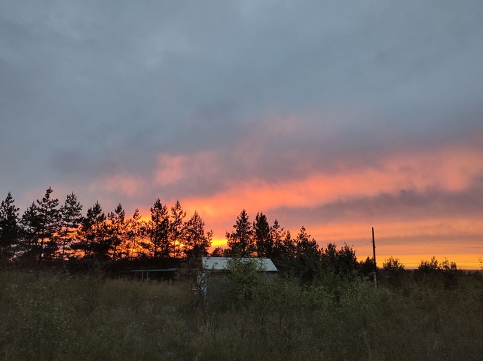 � ����� �� �������� �������. ���� ��� �� ��������)